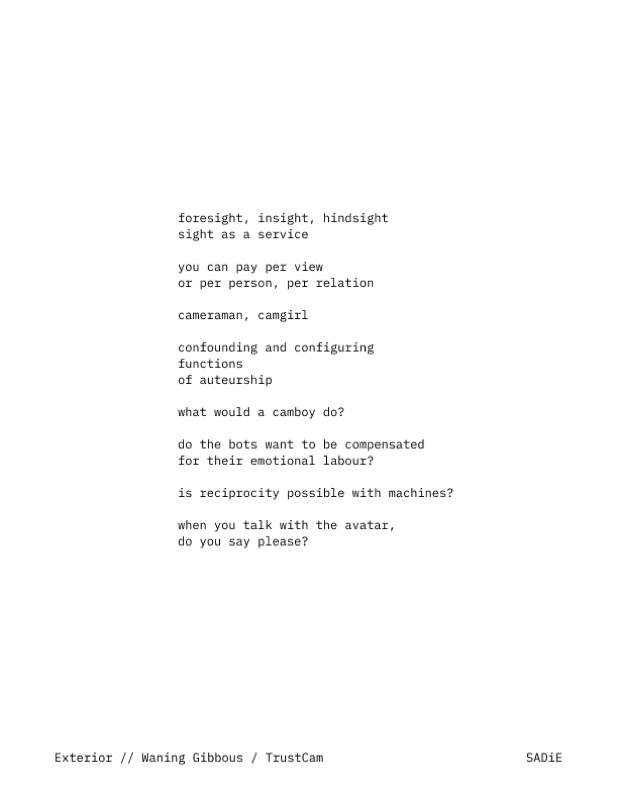 A poem: foresight, insight, hindsight / sight as a service / you cna pay per view / or per person, per relation / cameraman, camgirl / confounding and configuring / functions / of auteurship / what would a camboy do? / do the bots want to be compensated / for their emotional labour? / is reciprocity possible with machines? / when you talk with the avatar, / do you say please?